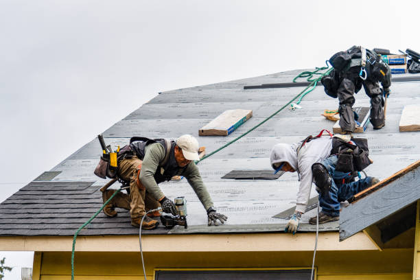 Professional Roofing technician working in Trenton, IL